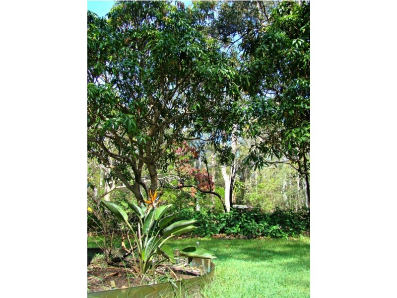 155 Clarendon Road, Peregian Beach QLD 4573