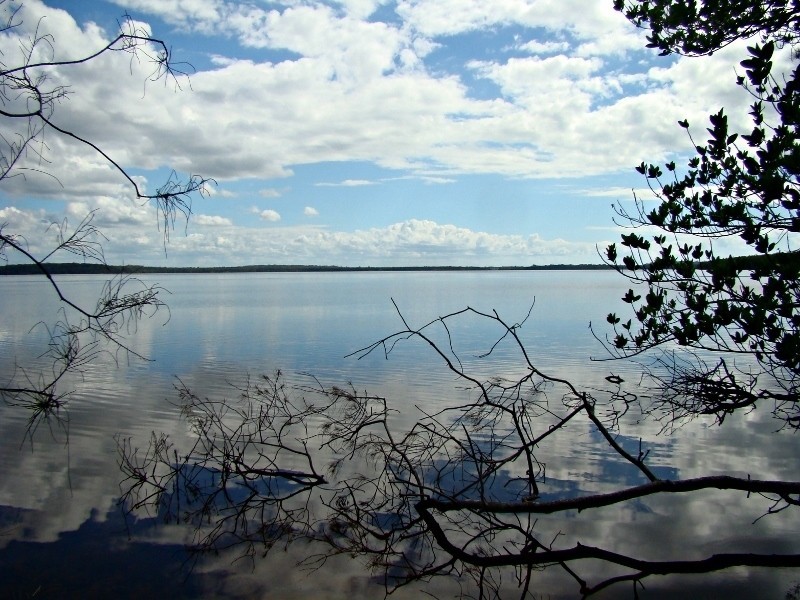 155 Clarendon Road, Peregian Beach QLD 4573