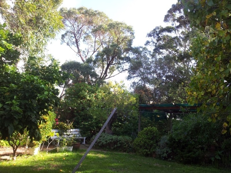 23 Willis Street, Mosman Park WA 6012