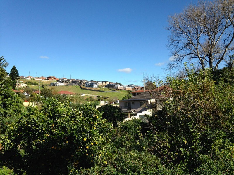 142 Lake Avenue, Cringila NSW 2502