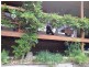 Brumbys Run 270 Alpine Way, Crackenback NSW 2627