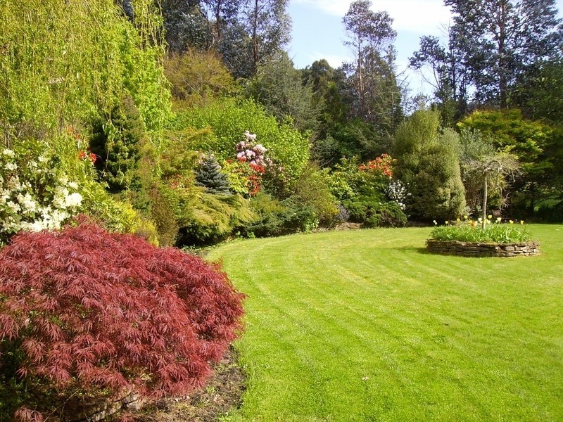 155 Castle Forbes Road, Castle Forbes Bay TAS 7116