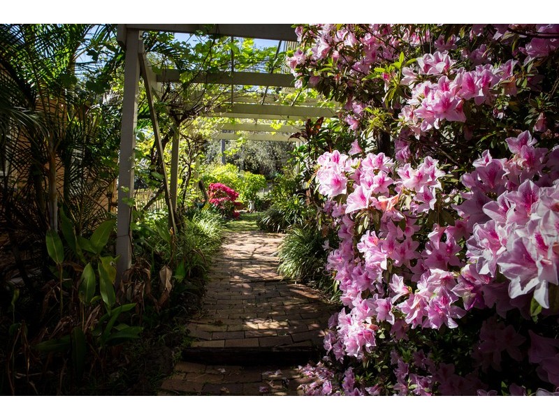 77 Cathcart Street, Girards Hill NSW 2480