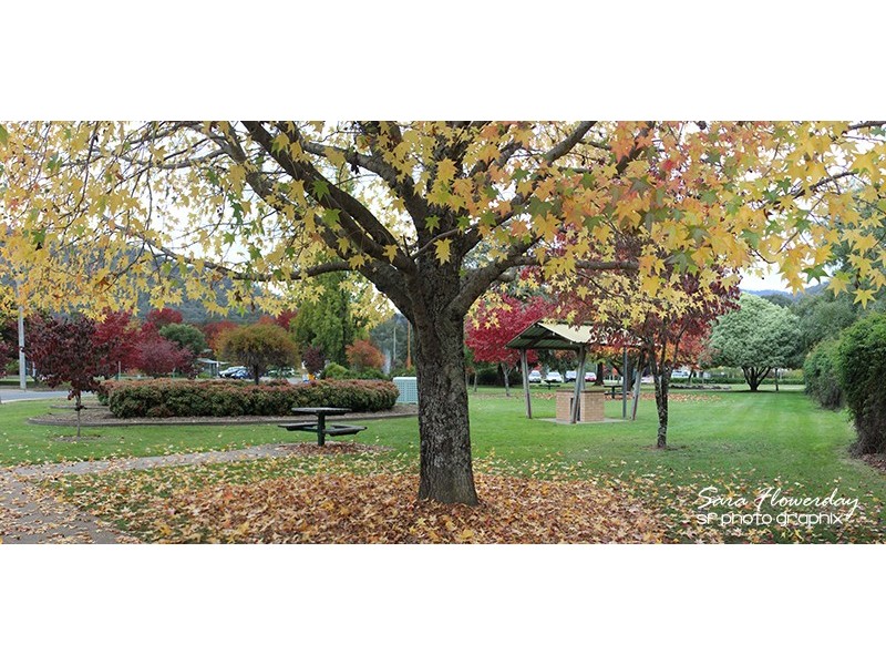 3 Maddison Street, Mount Beauty VIC 3699