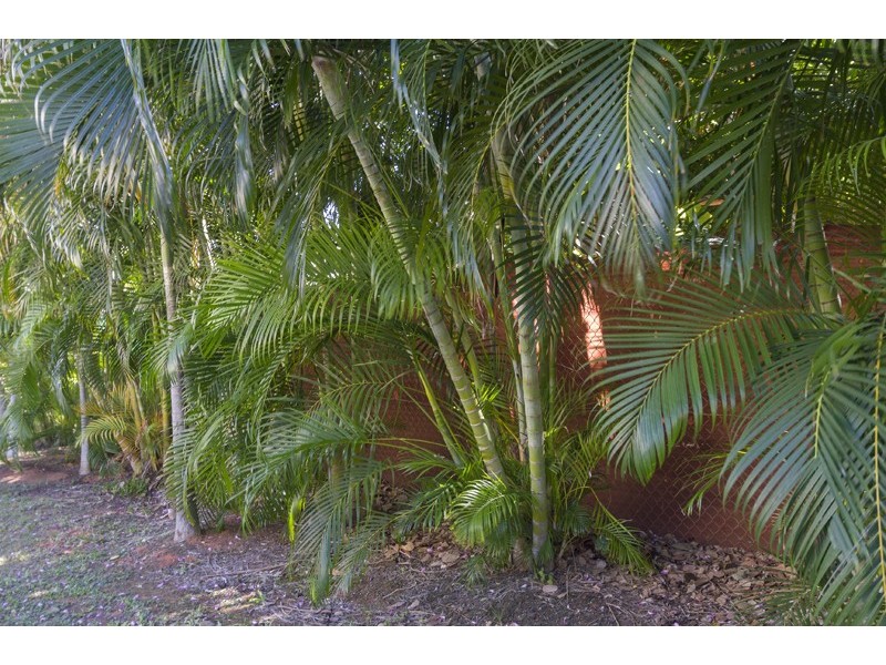 21/4 Murray Road, Broome WA 6725