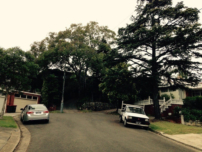 19 Irwin Cres, Bexley North NSW 2207