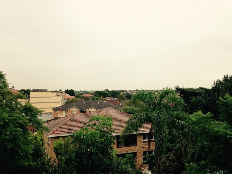 19 Irwin Cres, Bexley North NSW 2207