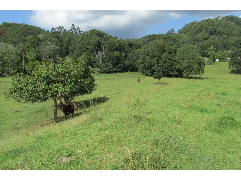 32 Blindmouth Road, Main Arm NSW 2482