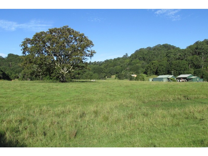 32 Blindmouth Road, Main Arm NSW 2482