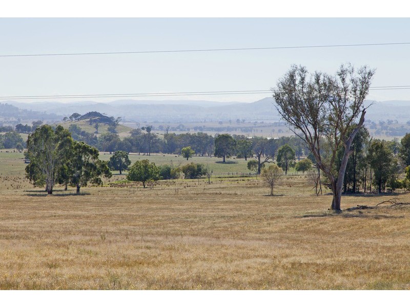 14 Sunnyside Place, Table Top NSW 2640