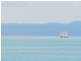 159  The Esplanade, Point Vernon QLD 4655