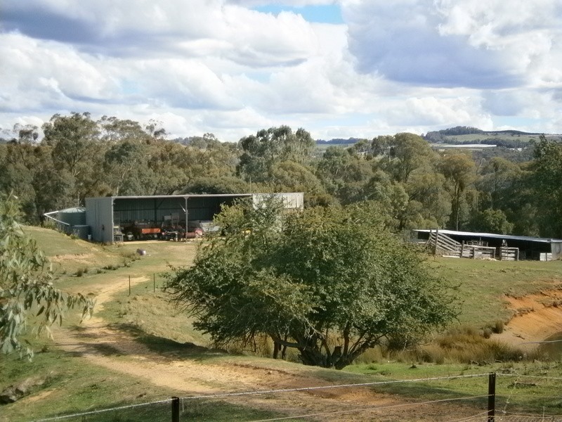 4587 Batlow Road, Batlow NSW 2730