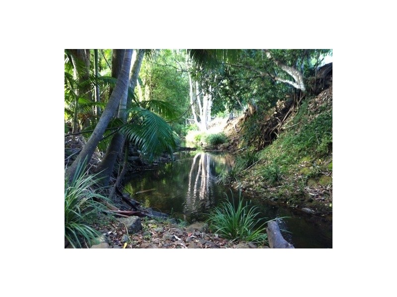 53 Cavendish Rd, Duroby NSW 2486