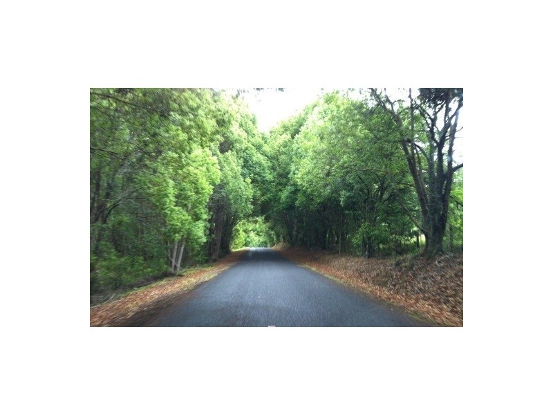 53 Cavendish Rd, Duroby NSW 2486