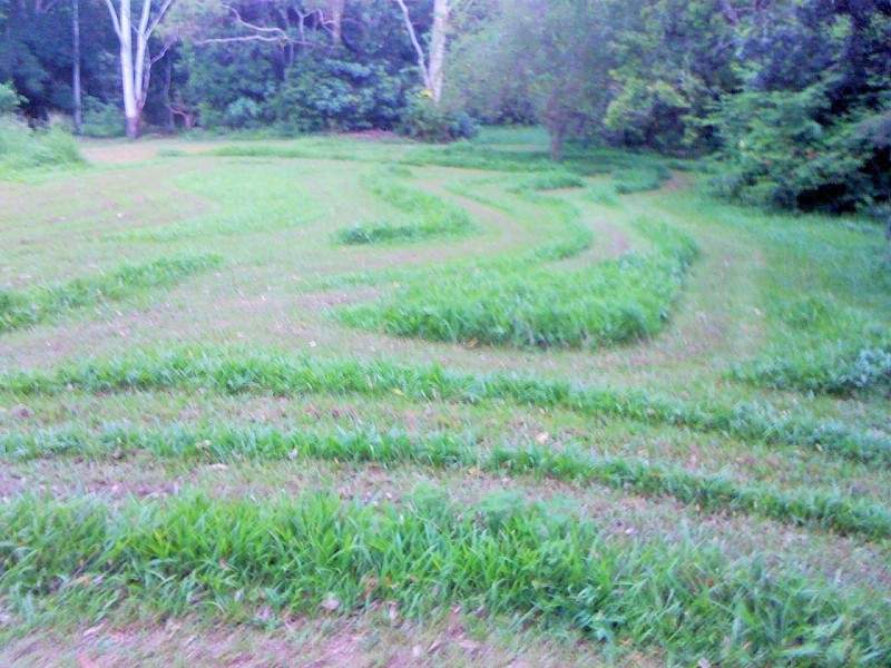 53 Cavendish Rd, Duroby NSW 2486