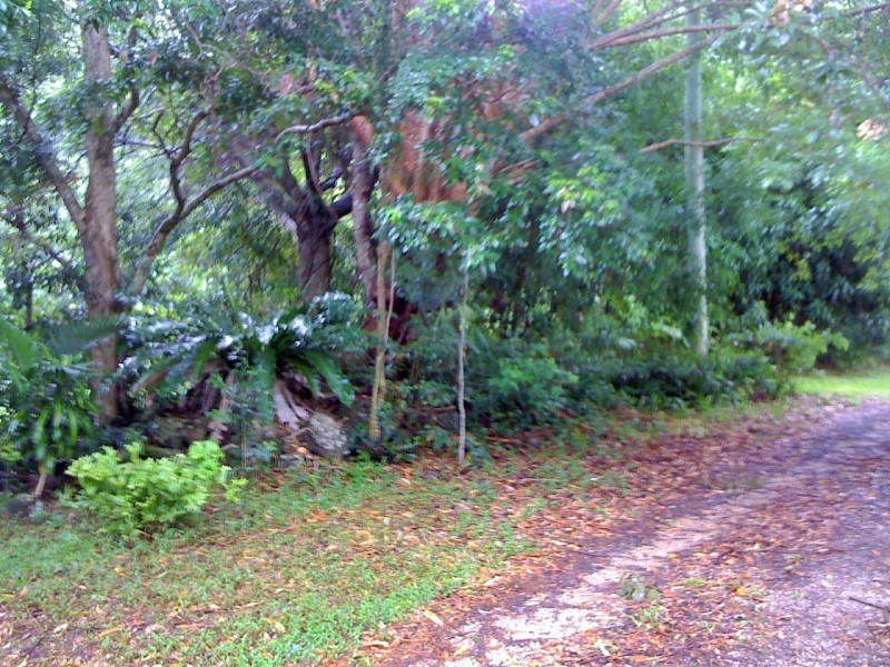 53 Cavendish Rd, Duroby NSW 2486