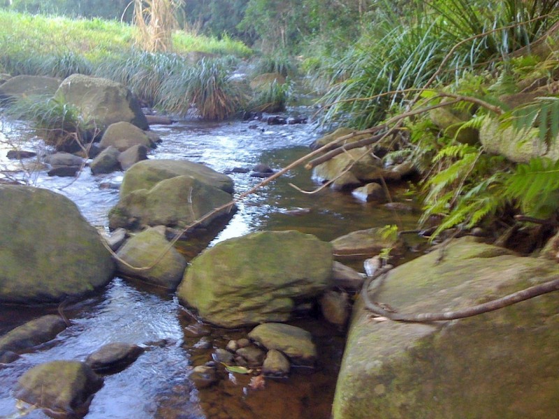 53 Cavendish Rd, Duroby NSW 2486