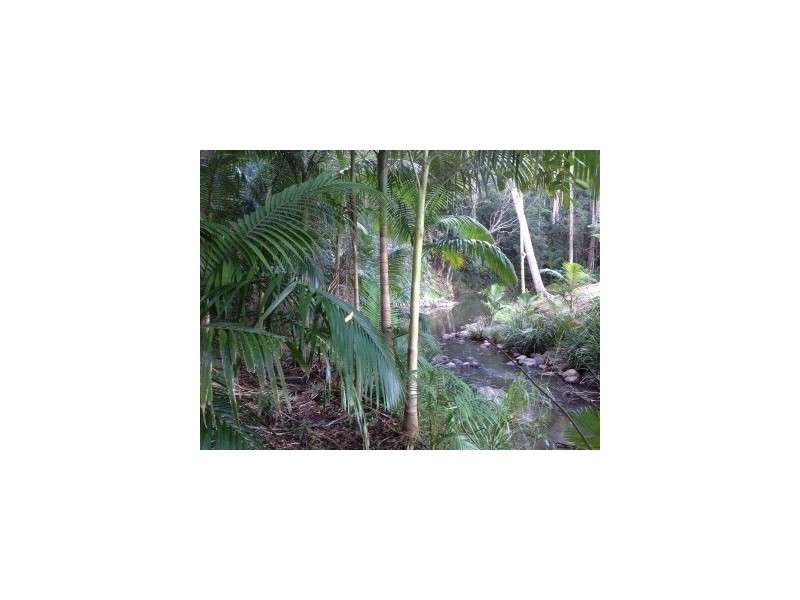 53 Cavendish Rd, Duroby NSW 2486