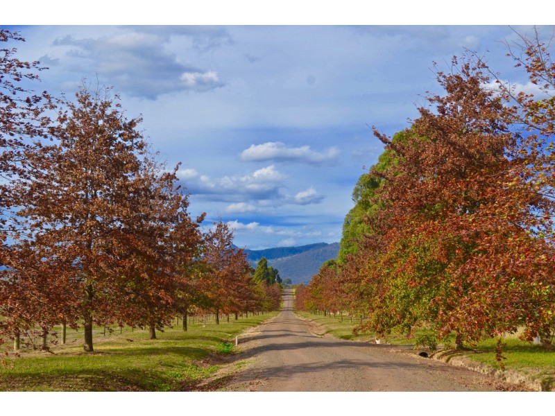 221 Wairere Road, Boorolite VIC 3723