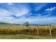 221 Wairere Road, Boorolite VIC 3723