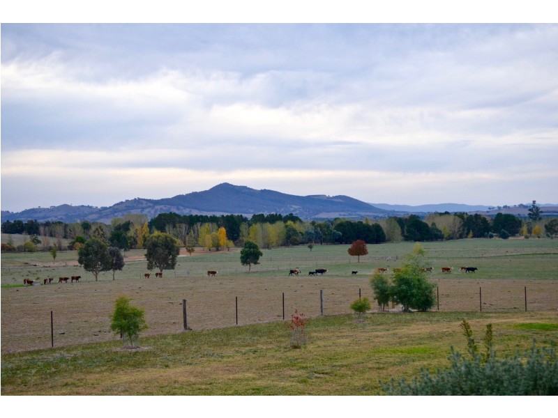 221 Wairere Road, Boorolite VIC 3723