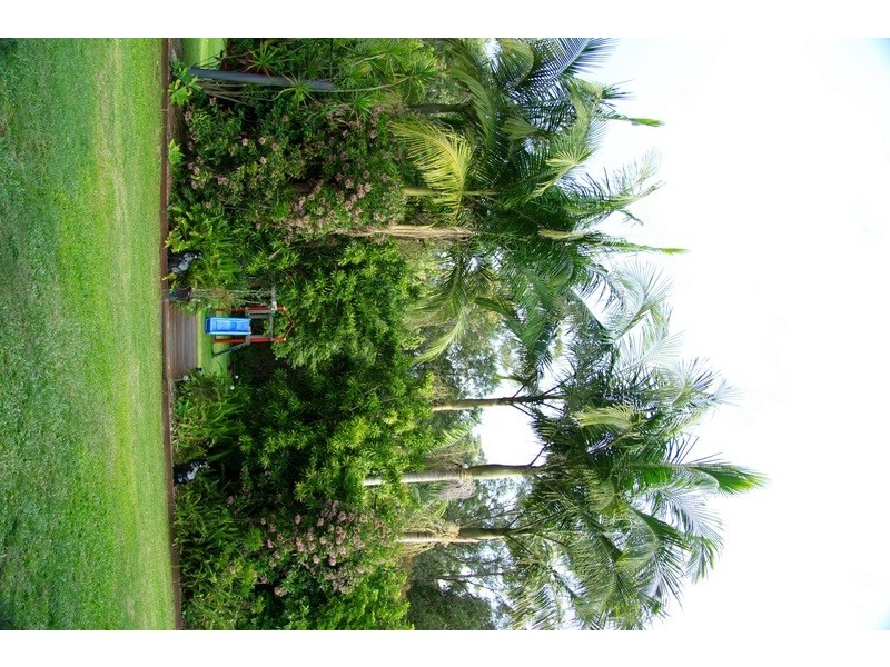 10 Bloomfield Place, Beerwah QLD 4519