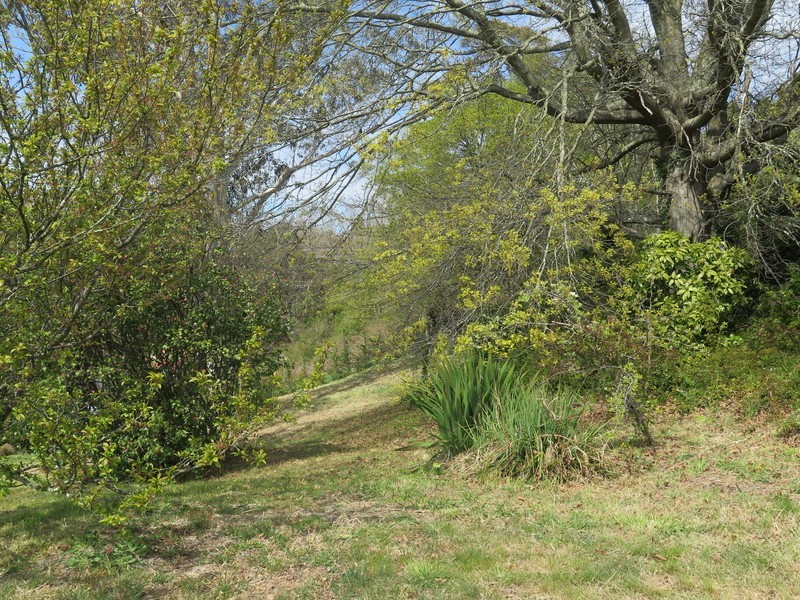 84 Camp Street, Katoomba NSW 2780