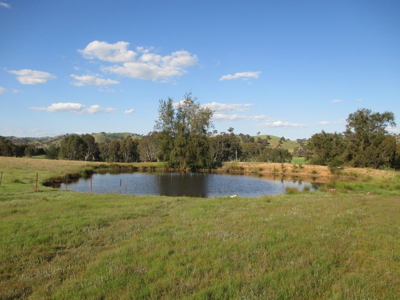 222  Battery Crossing Road, Reids Flat NSW 2586