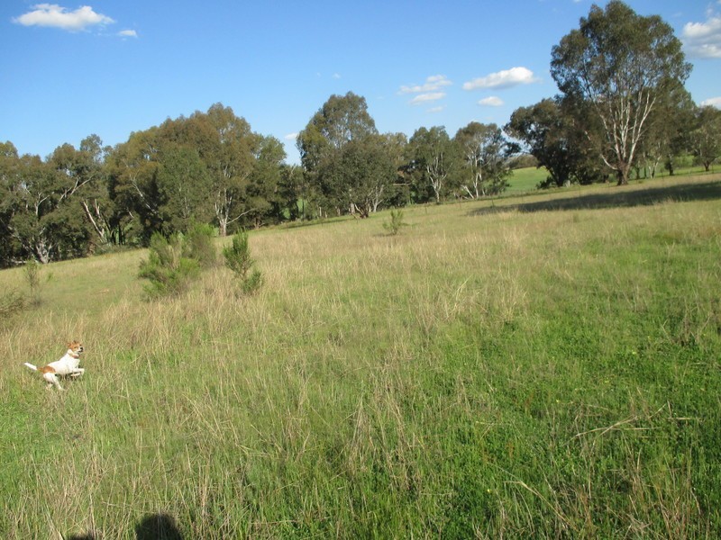 222  Battery Crossing Road, Reids Flat NSW 2586