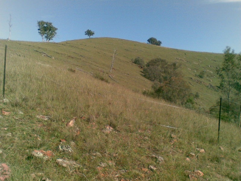 222  Battery Crossing Road, Reids Flat NSW 2586