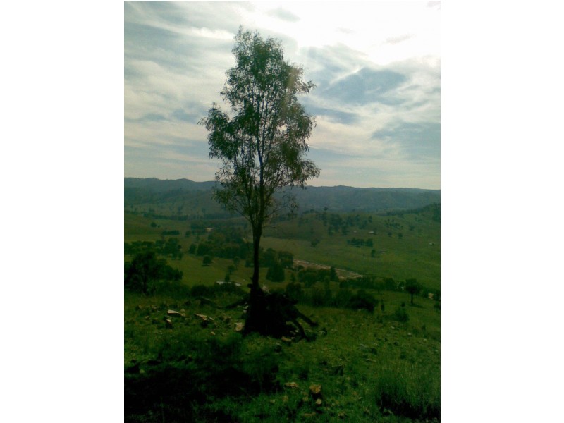 222  Battery Crossing Road, Reids Flat NSW 2586