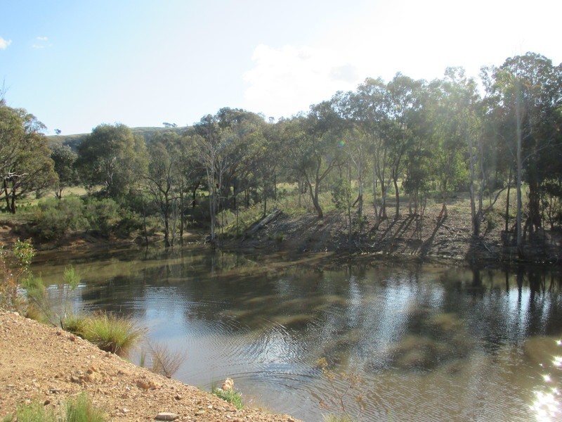 222  Battery Crossing Road, Reids Flat NSW 2586