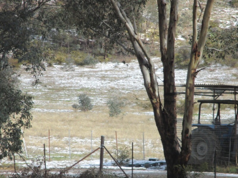 222  Battery Crossing Road, Reids Flat NSW 2586