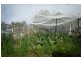 45 Nicholson Crescent, Turner ACT 2612