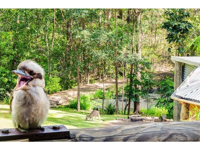 371 Ninderry Road, Ninderry QLD 4561
