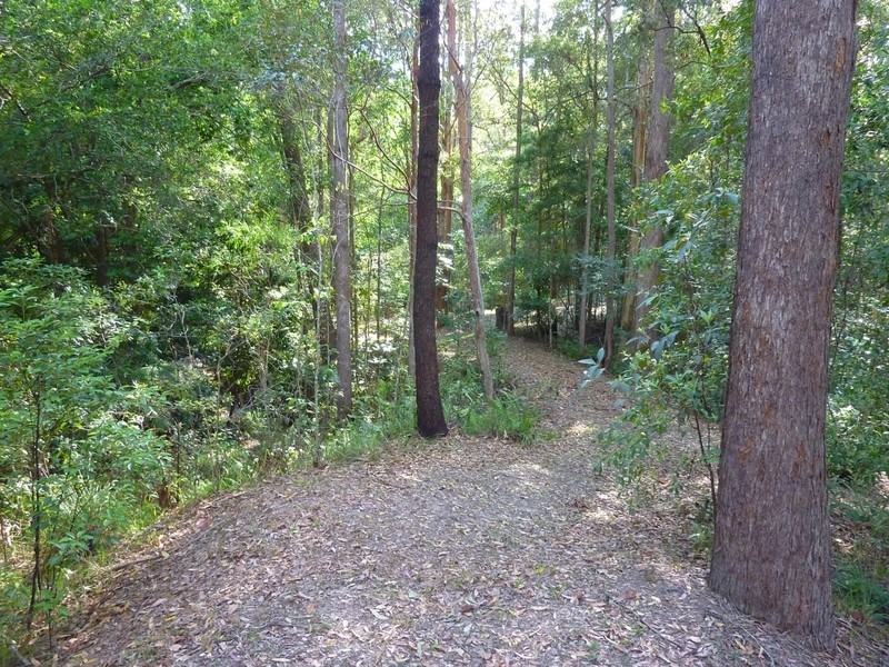 13 Gattera Road, Landsborough QLD 4550