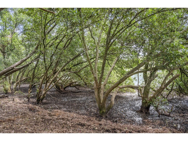 5 Belmore Road, Peakhurst NSW 2210