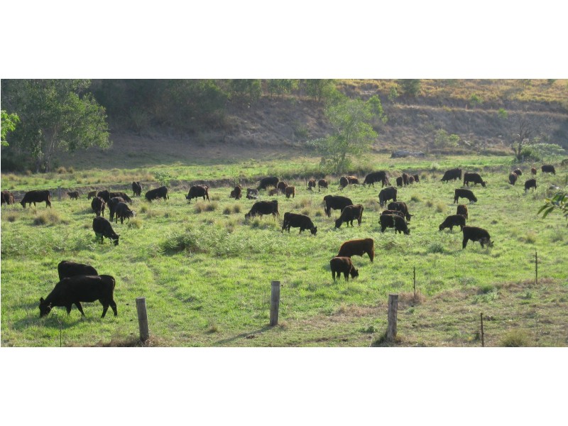 Lot 2 Pine Scrub Road, Kindee NSW 2446