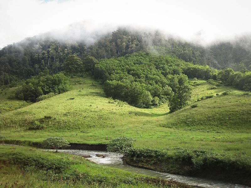 Lot 2 Pine Scrub Road, Kindee NSW 2446