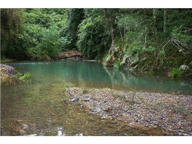 Lot 2 Pine Scrub Road, Kindee NSW 2446