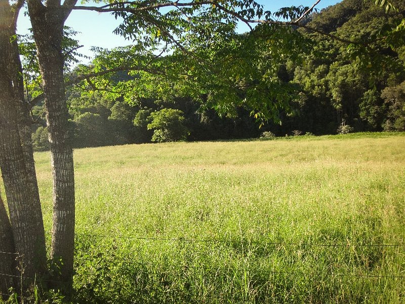 Lot 2 Pine Scrub Road, Kindee NSW 2446