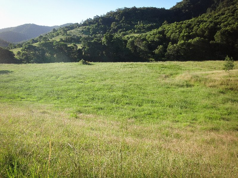 Lot 2 Pine Scrub Road, Kindee NSW 2446