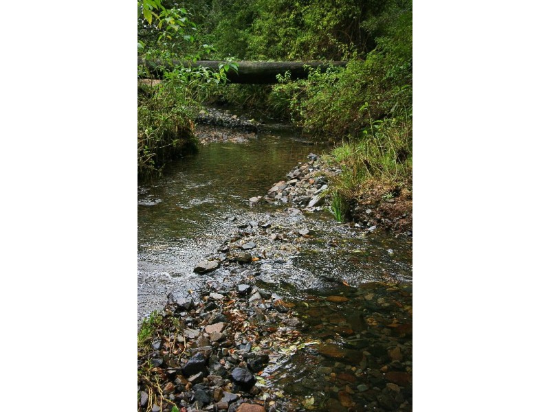 Lot 2 Pine Scrub Road, Kindee NSW 2446