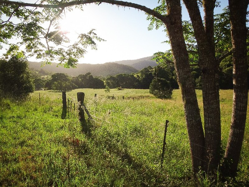 Lot 2 Pine Scrub Road, Kindee NSW 2446
