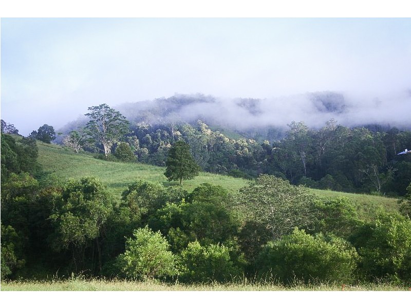 Lot 2 Pine Scrub Road, Kindee NSW 2446