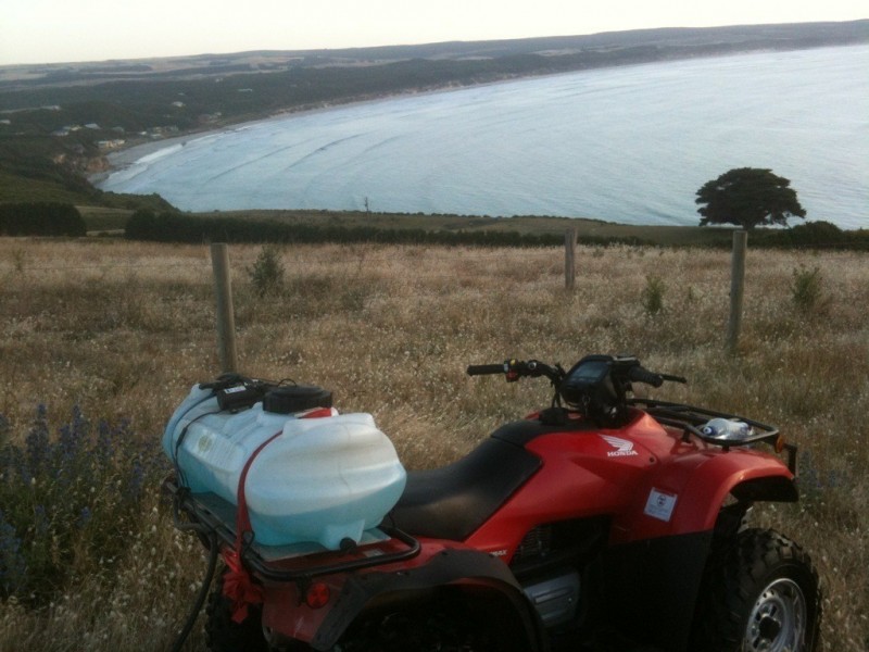 Lot 5 Blowholes Rd, Cape Bridgewater VIC 3305