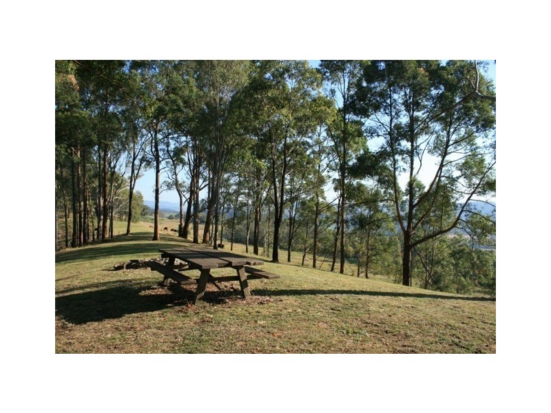 326 Bice Road, Leycester NSW 2480