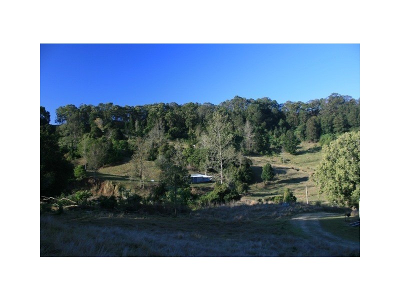 326 Bice Road, Leycester NSW 2480