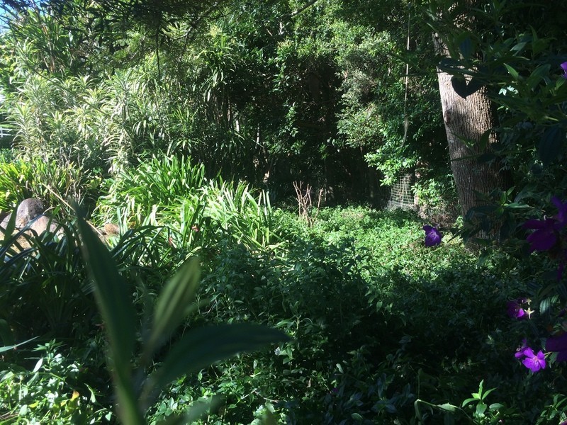 144 Beacon Road, Tamborine Mountain QLD 4272