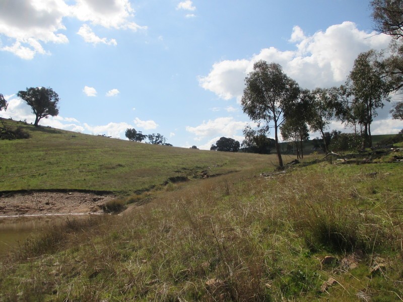 Lot 27 Battery Crossing Rd, Reids Flat NSW 2586